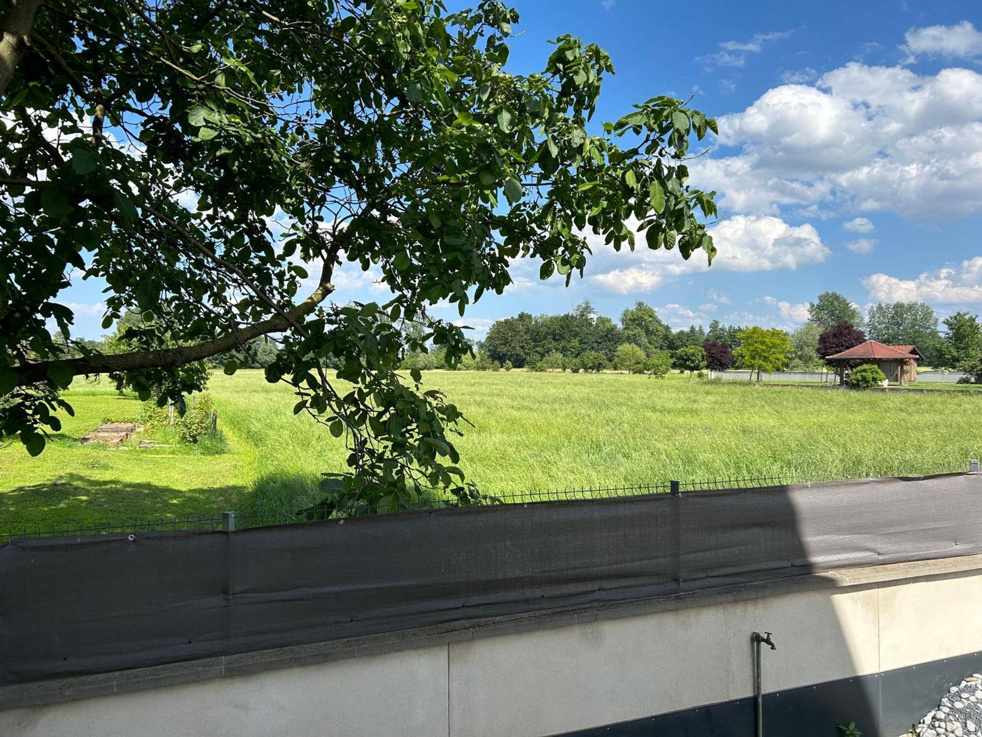 Charmant Studio Avec Terrasse Ebersheim Bagian luar foto